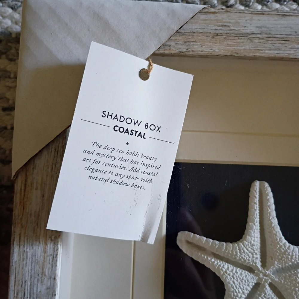 Adorable World Market White and Black Starfish Shadow Box - Picture 5 of 5